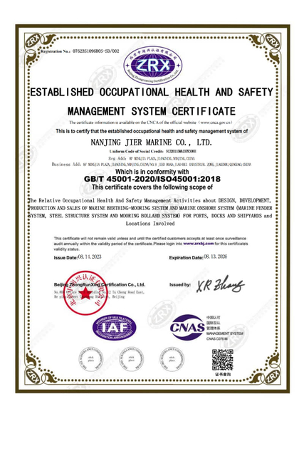 ISO 45001 أنظمة نظام إدارة الصحة والسلامة المهنيين iso _01-800x1200